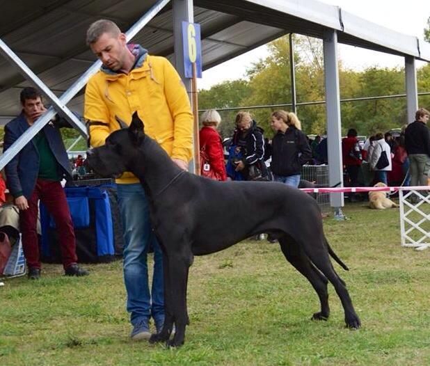 Otec Alanos Shtat OLEGGIO CASTELLO