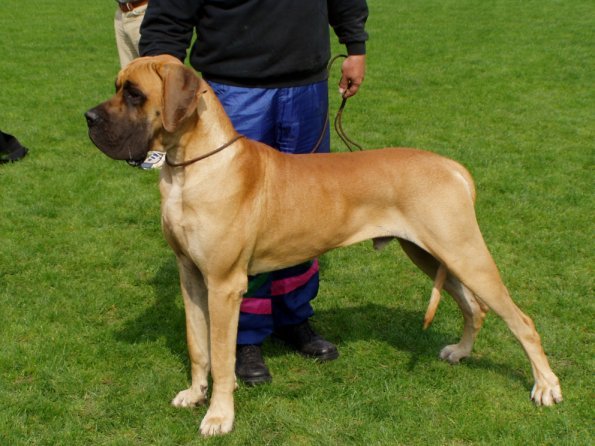 Otec Typ Topp Des Terres dela Rairie