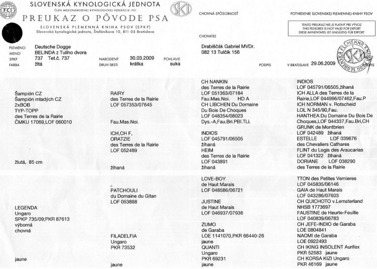 Rodokmen Belinda z Tuliho dvora