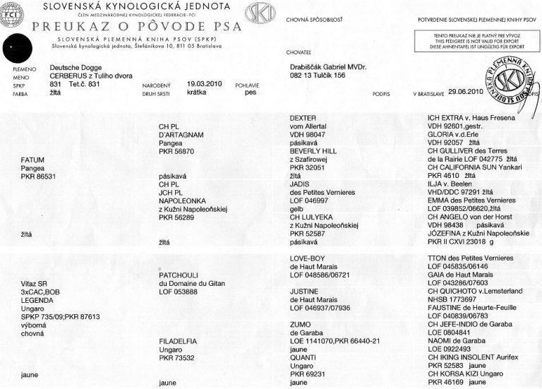 Rodokmen Cerberus z Tuliho dvora 2010