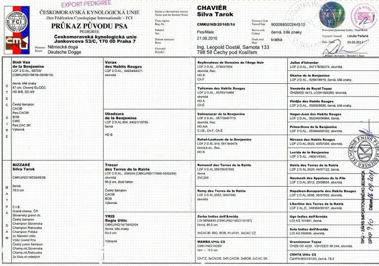 Rodokmen Chaviér Silva Tarok