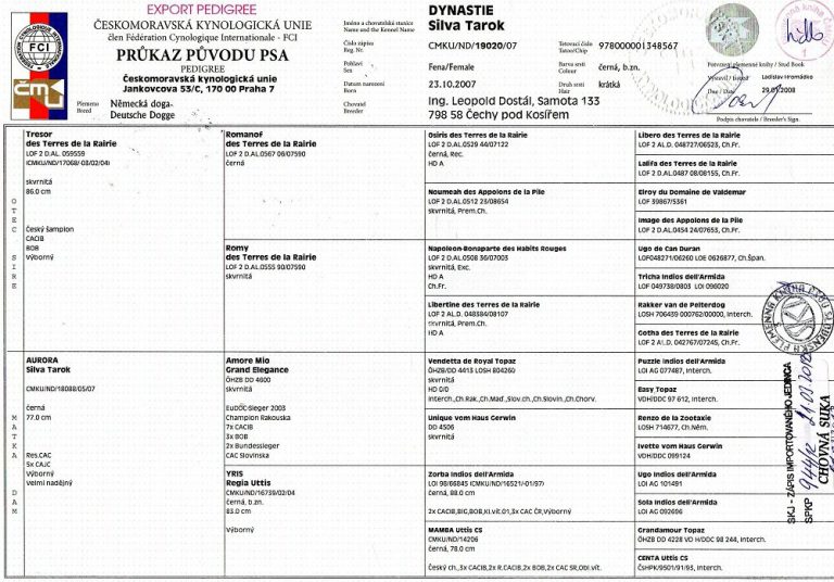 Rodokmen Dynastie Silva Tarok