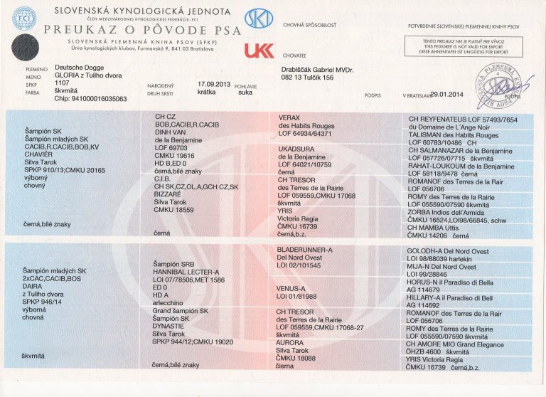 Rodokmen Gloria z Tuliho dvora