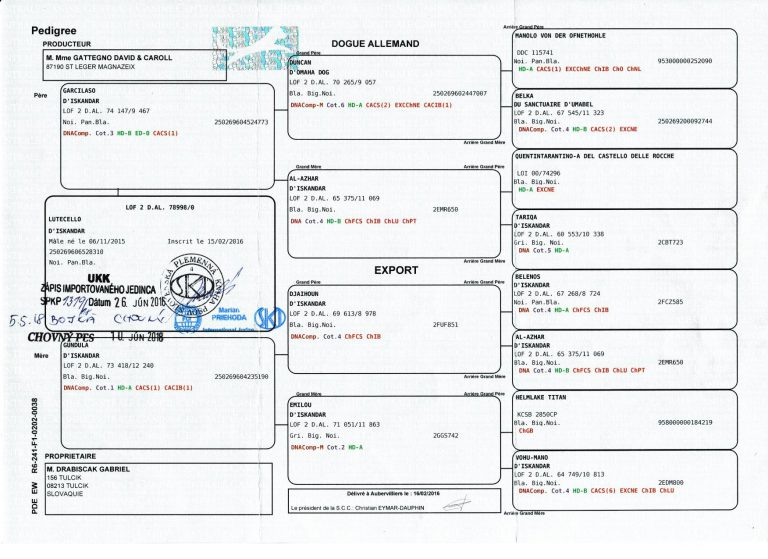Rodokmen Lutecello D'Iskandar